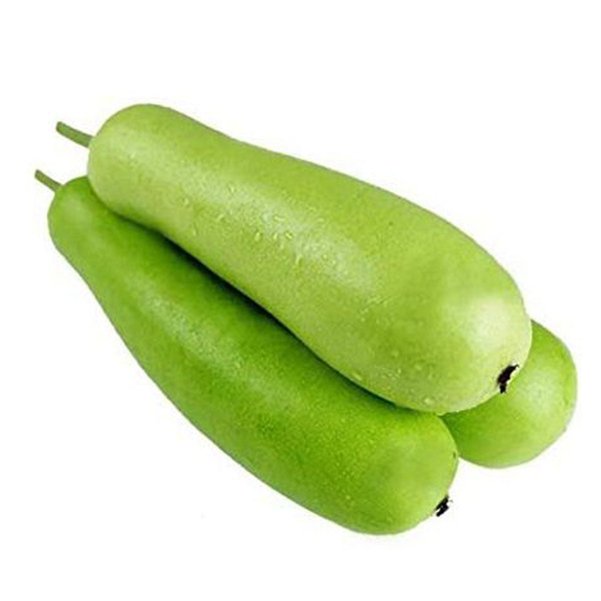 சுரைக்காய் ( SURAIKAAI ) — Bottle Gourd -500 gm (approx)
