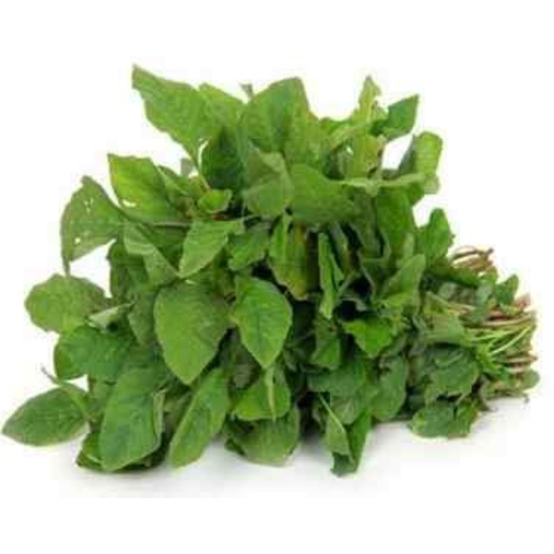 அரைக்கீரை ( ARAI KEERAI )- AMARANTHUS ARITIS