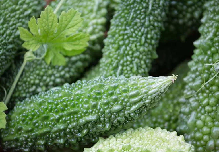 பாகற்காய் ( PAGARKAI ) — Bitter Gourd -500 gm
