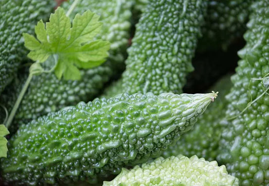 பாகற்காய் ( PAGARKAI ) — Bitter Gourd -500 gm