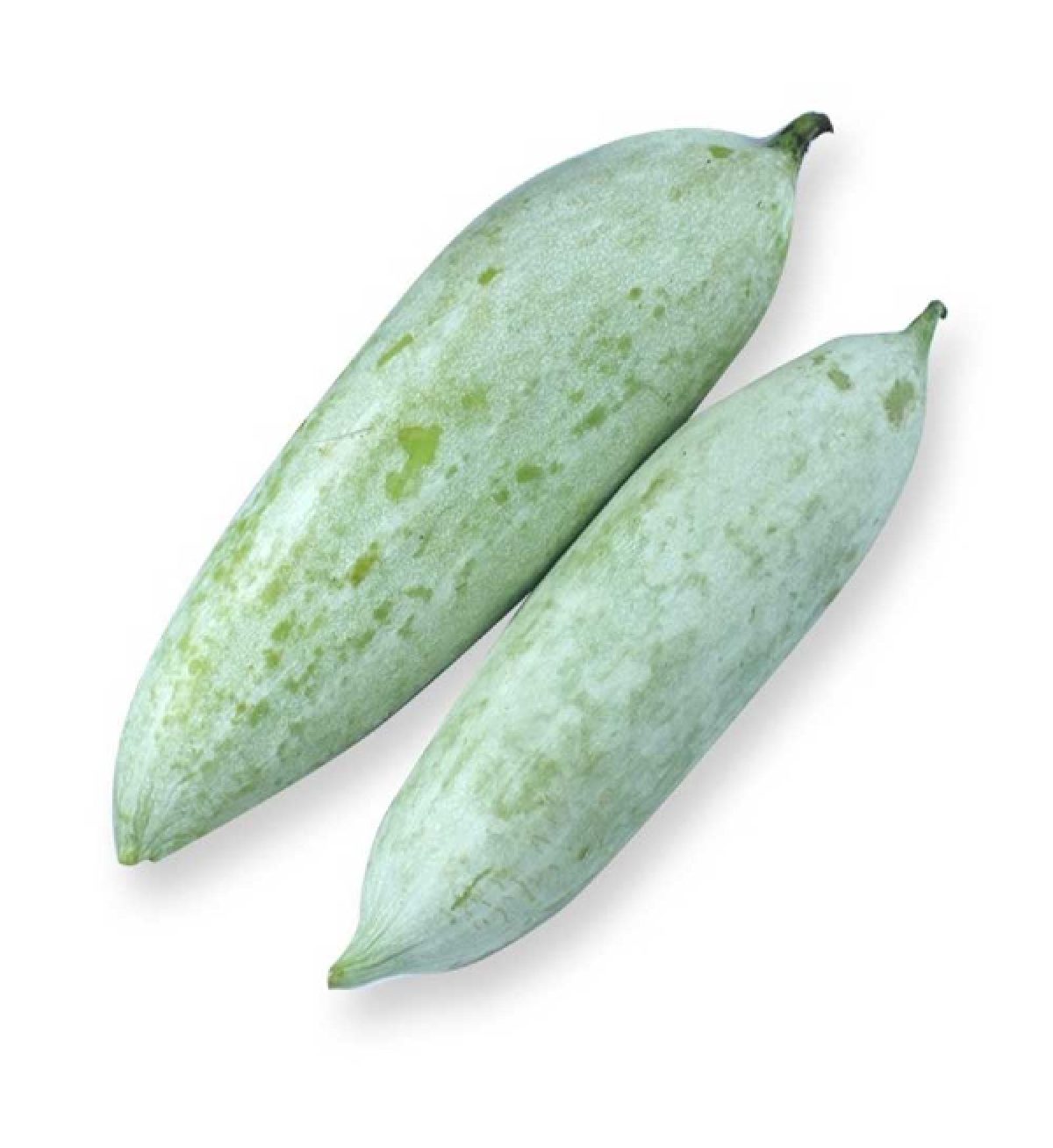 புடலங்காய் ( PUDALANKAI ) — Snake Gourd - 500 gm