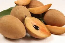 சப்போட்டா / Sapota / Chikoo- 500 gm