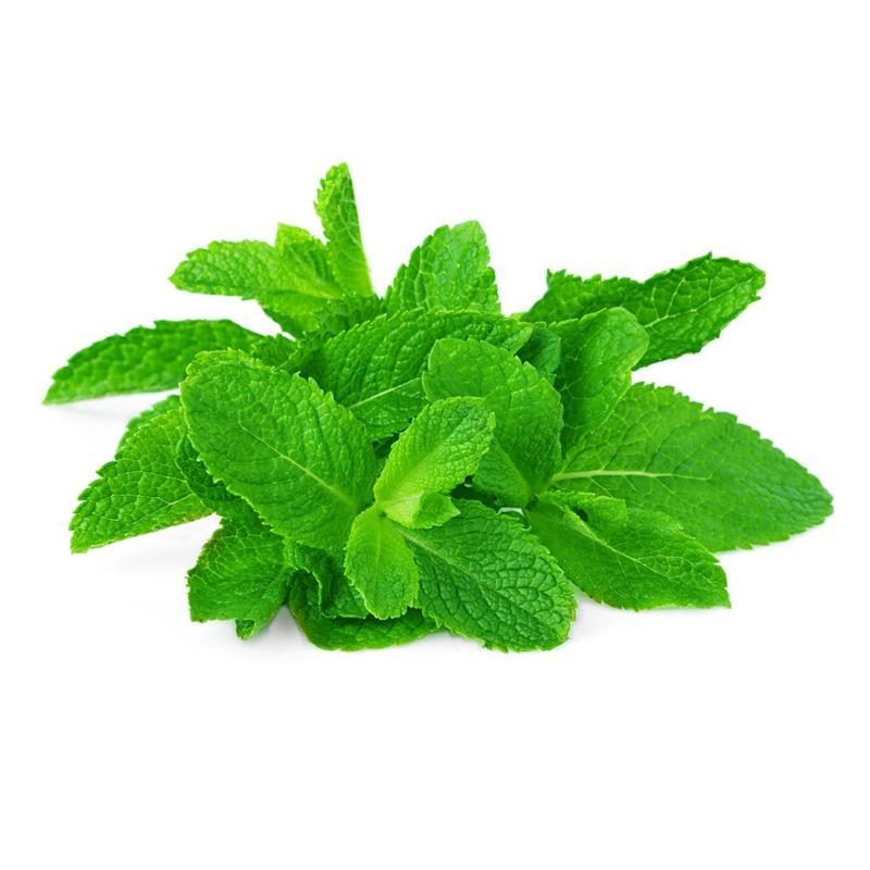 புதினா ( Puthina ) - Mint leaves