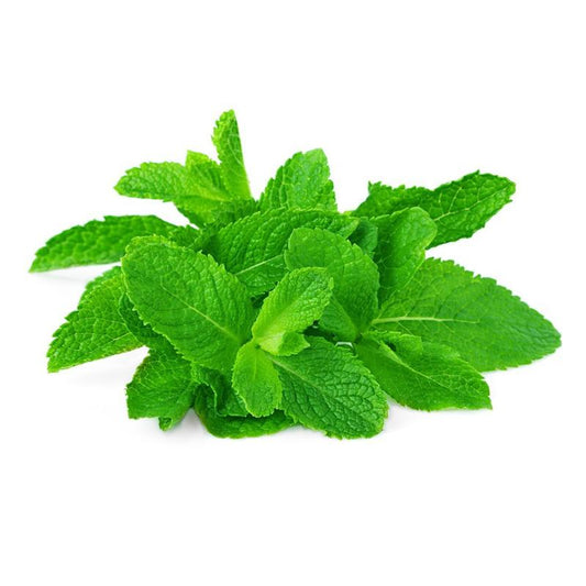 புதினா ( Puthina ) - Mint leaves