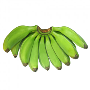 வாழைக்காய் ( VAZHAKKAI ) — Raw Banana - 500 gm