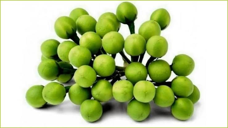 சுண்டைக்காய் ( SUNDAIKAAI ) — Turkey Berry - 500 gm